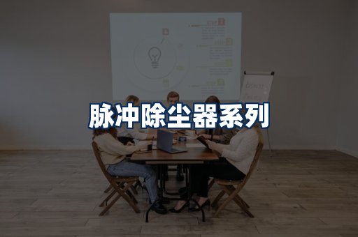 脉冲除尘器展示