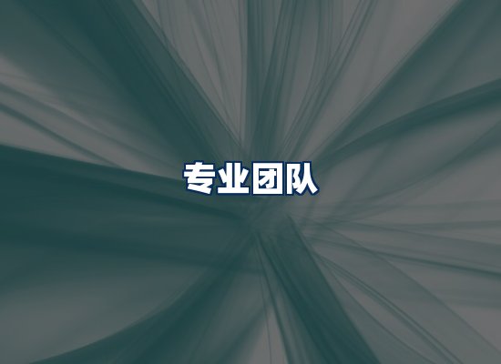 专业团队